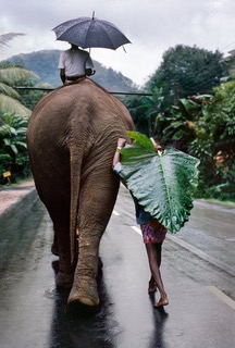 Boy walks next to an Elephant, Kandy, Sri Lanka, 1995. Fuji Christal Archive Paper, C-Print